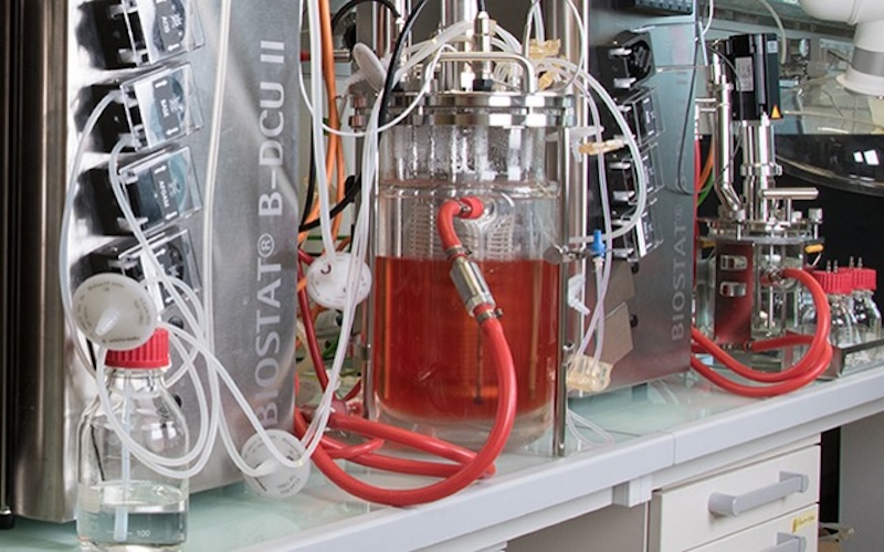 Microbial Protein Production